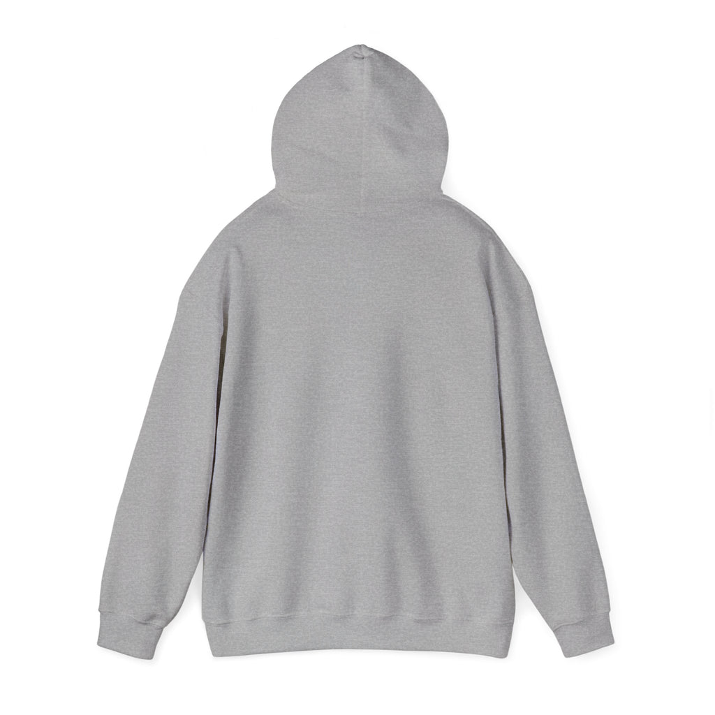 Adventure Awaits Hoodie